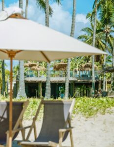 5 motivos para conhecer o “Zai Patacho”